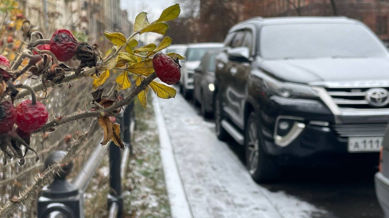 Петербург 25 ноября. Снежное утро ноября. Последний день осени в Питере. Санкт-Петербург в ноябре. Ноябрь холодно.