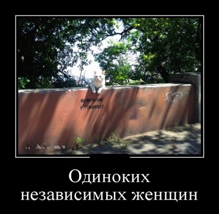Демотиваторы (15 фото)