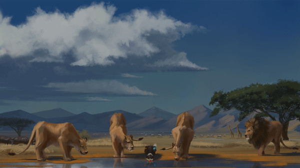 Кот-путешественник, или долгая дорога домой кот, путешествие, рисунки