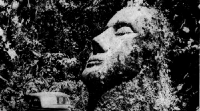 Каменная голова В 1930-х годах исследователи обнаружили огромную статую из песчаника. Она стояла посреди гватемальских джунглей и напоминала каменные изваяния майя. Фактически, это был удлиненный череп с мелкими чертами лица, прямо как из учебника истории. Ученые пришли к выводу, что этот артефакт – не изображение человека, поскольку он имел признаки гораздо более продвинутой особи, вовсе не похожей на тех, кто населял Америку во времена ее создания. Некоторые предположили, что голова – часть огромной конструкции, которая находится под землей. Было распространено и мнение о мистификации. К сожалению, сейчас выяснить правду невозможно – голова была уничтожена во время одной из революций.