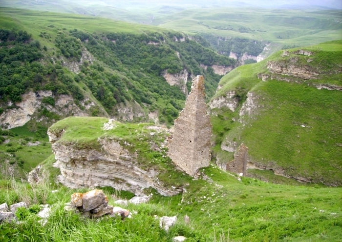 Алдам-Гези, Чеберлоевский район, Чечня. / Фото: www.elinium.livejournal.com