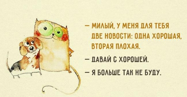 19 веселых открыток о прелестях семейной жизни 