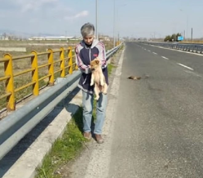 Мужчина и щенок