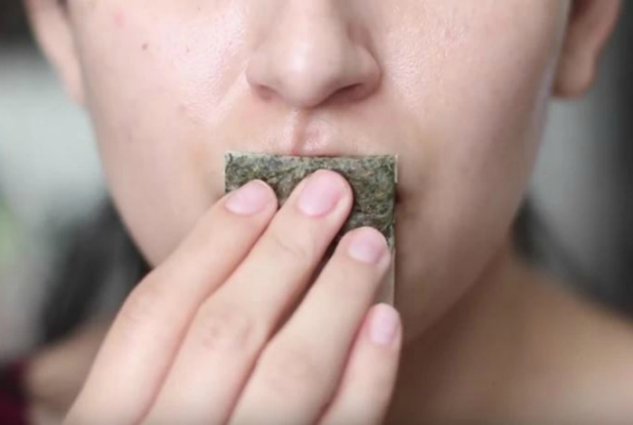 15 маленьких бьюти-хитростей, которые пригодятся любой девушке 15 маленьких бьюти-хитростей, которые пригодятся любой девушке женские хобби