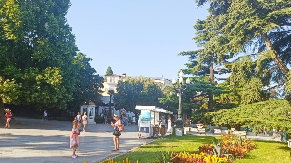 Ялта расцвела после потопа: в курортной столице Крыма высадили тысячи цветов Общество