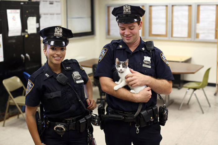 Правдивость фактов о полиции США, навязанных фильмами 