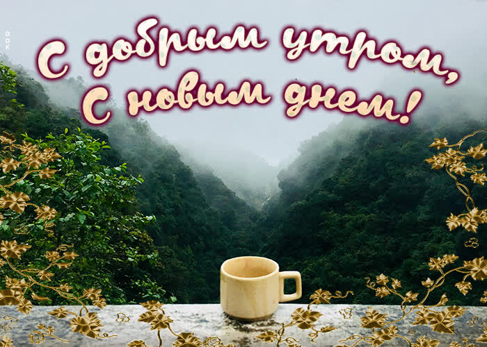 Юмор из сети: лучшая подборка