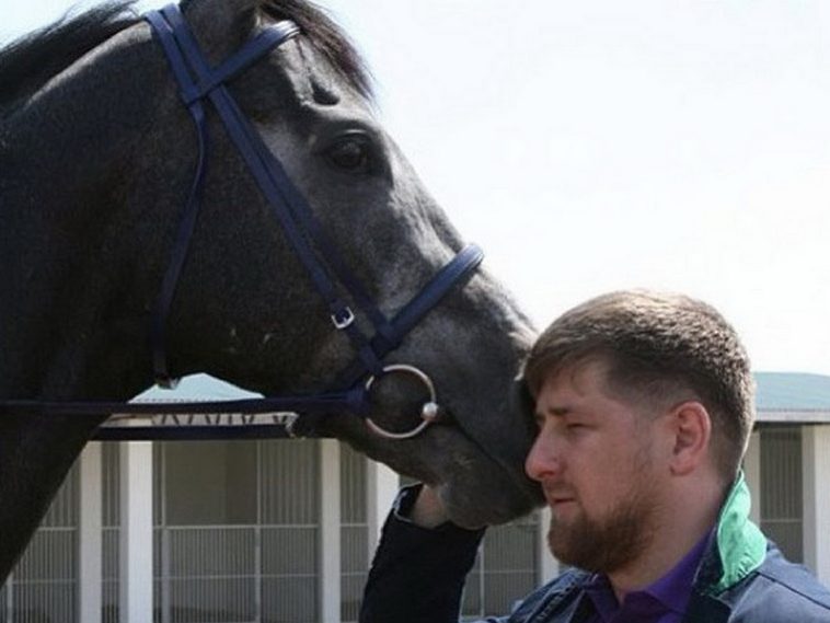 Кадыров оценил стоимость своего украденного в Чехии коня Зазу в  млн