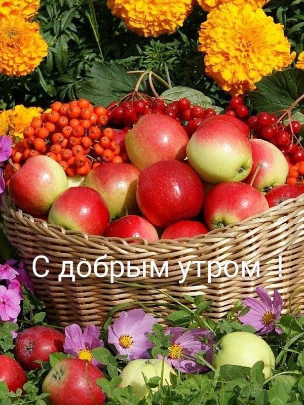 Заряжаемся свеженьким юмором! Большая подборка смешного, веселого и приятного!