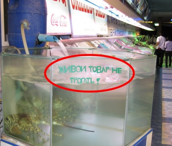 Дождитесь, пока кто-то умрет, а потом трогайте