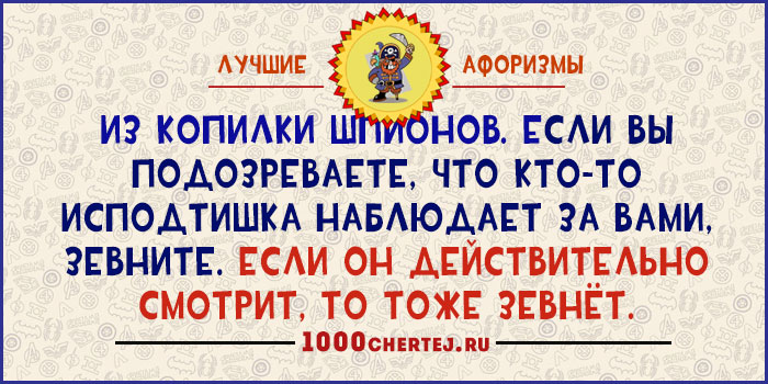 Я третью неделю с ним, как непристойная стена!» 22 юмористических афоризма Я третью неделю с ним, как непристойная стена!» 22 юмористических афоризма