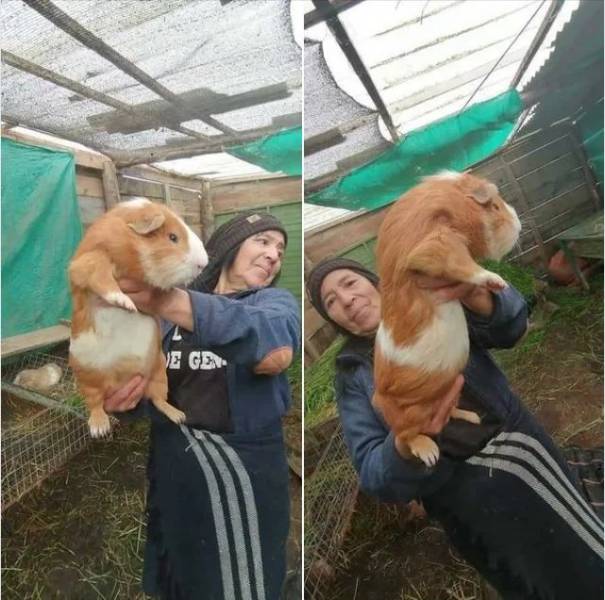 Подборка прикольных картинок Подборка прикольных картинок приколы,смешные картинки,юмор