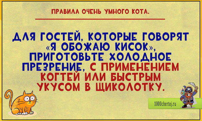 17 весёлых открыток про то, что быть умным котом целая наука! 