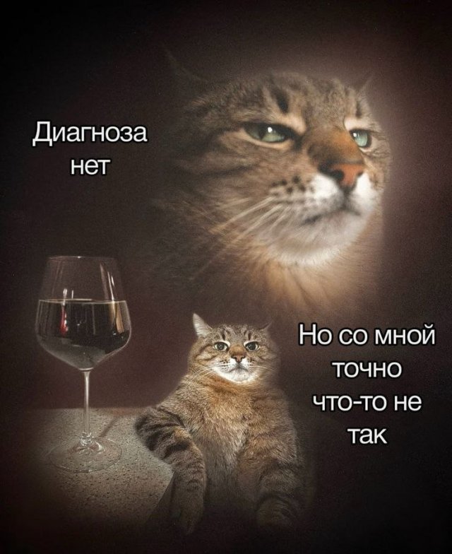 Именно чайники развивают самую кипучую деятельность  