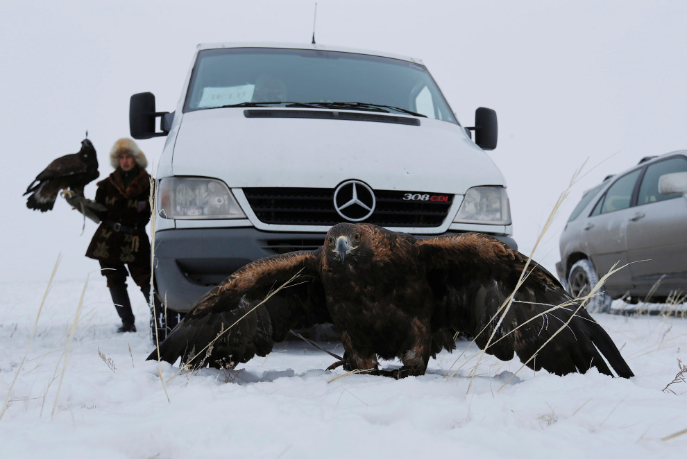 Орлиная охота в Казахстане Путешествия,фото