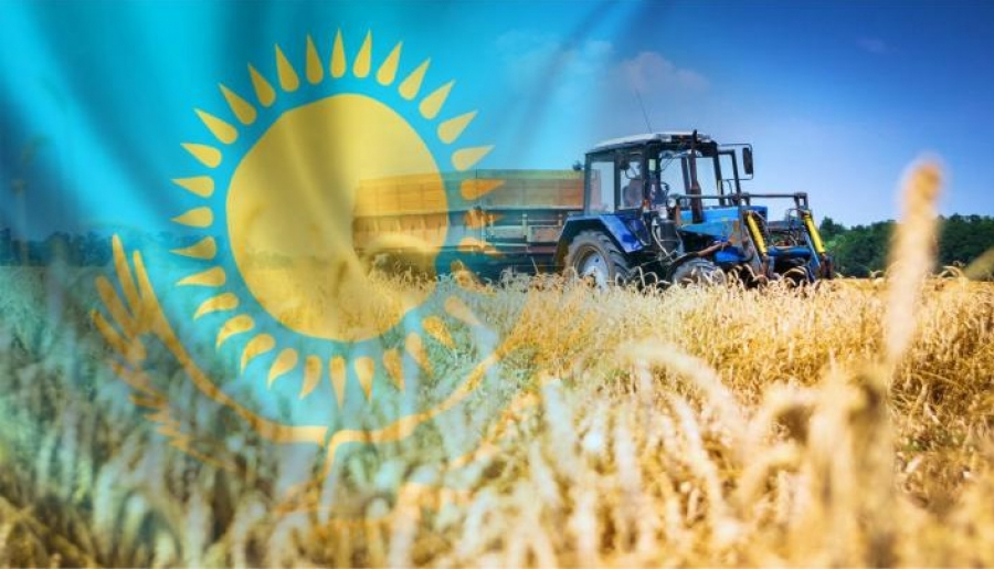 Российское зерно — в лабиринте казахстанской «многовекторности»…