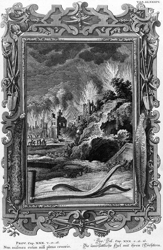 Знаменитые жертвы «лечебного кровопускания» и последователи Дуремара история,Московская обл,[807356]