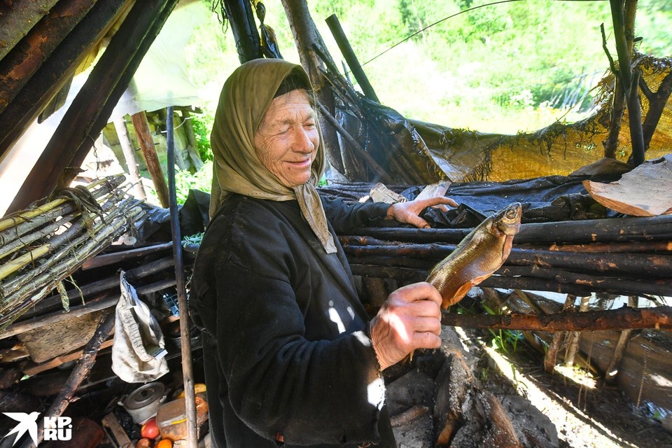   Владимир ВЕЛЕНГУРИН