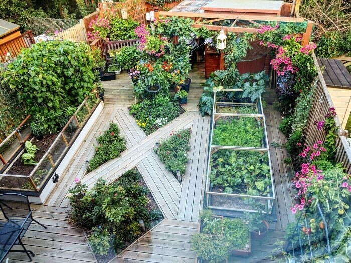 Садоводство — круто! 30 лучших фото из крупнейшего сообщества для садоводов жизнь,курьезы,планета,приколы,природа