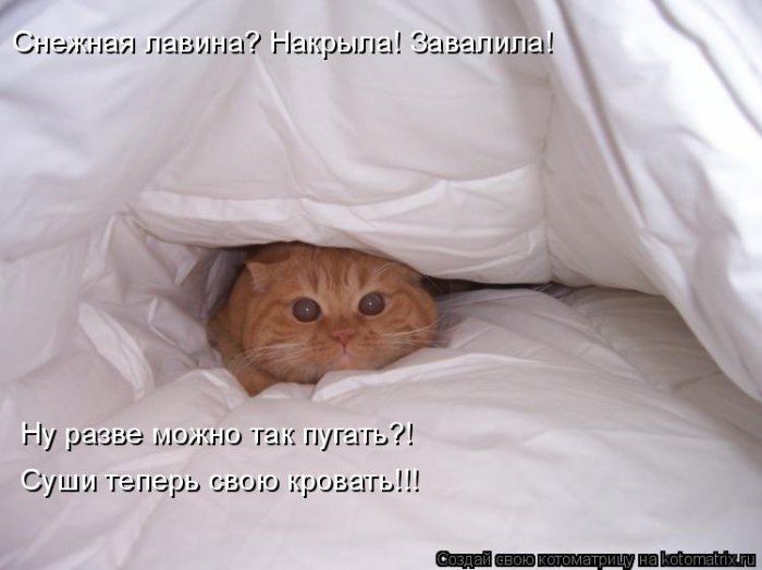 Мысли вслух :)