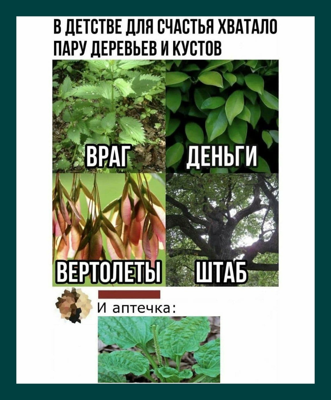 Бежит заяц по лесу и кричит:  - Я могу кобылу трахнуть... кобылу, табуреточкой, снова, когда, хорошо, кобыла, табуреточку, кобыле, Хэллоуин, только, экономист, Моиссевна, старший, хорошего, говорила, океанКак, бухгалтера, Американец, Индийский, юбкаЧеснок