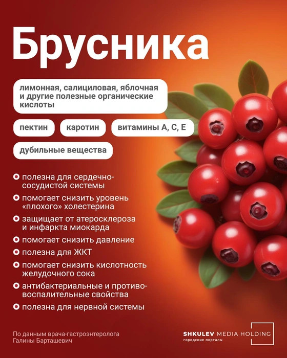 6 самых полезных ягод этой осени — с ними вам никакие витамины не понадобятся ягоды, Авдошина, Городские, говорит, заболеваний, напиток, полезна, врачгастроэнтеролог, иммунитет, может, больше, витамина, можно, профилактики, Кроме, богата, Елена, лечения, диетолог, содержанию