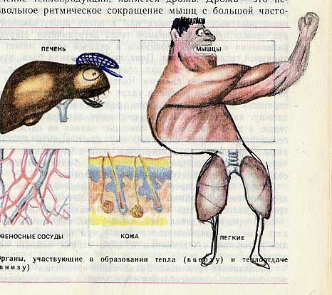 Забавно разрисованный учебник биологии перенесет вас назад в 9-й класс 