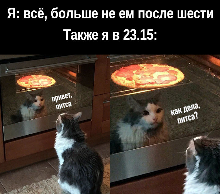изображение: Я: всё, больше не ем после шести. Также я в 23.15: - Привет, пицца. #Котоматрицы
