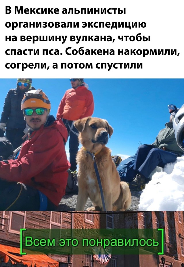 Подборка прикольных картинок  приколы,смешные картинки,юмор