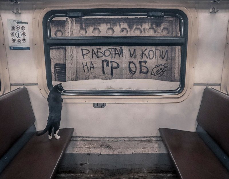 Скукота. ПОЕЗДАтая подборка Скукота. ПОЕЗДАтая подборка поездка