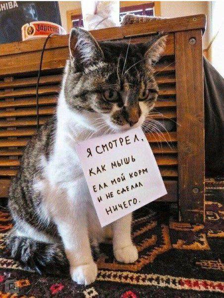 Фотоподборка четверга 