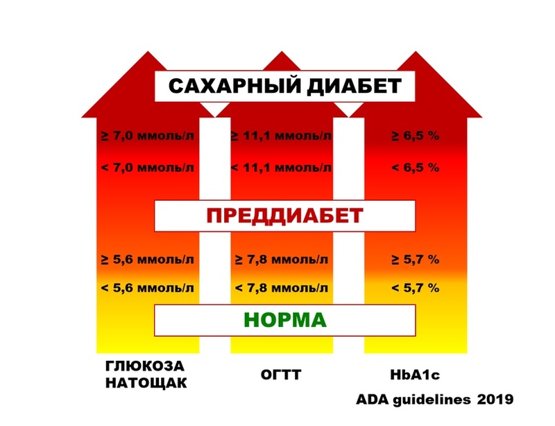 На грани риска: как распознать и остановить преддиабет