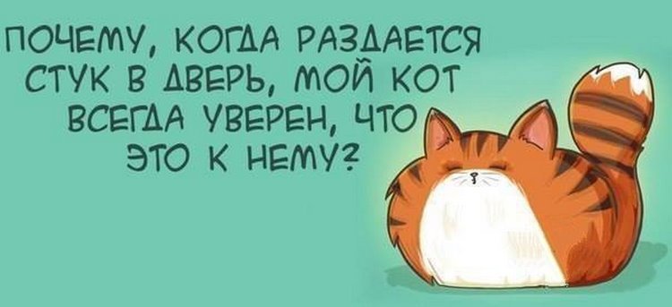 Новая подборка из 15 коротких невыдуманных рассказов, фраз и анекдотов с просторов интернета Новая подборка из 15 коротких невыдуманных рассказов, фраз и анекдотов с просторов интернета