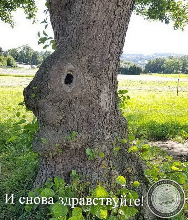 И снова здравствуйте