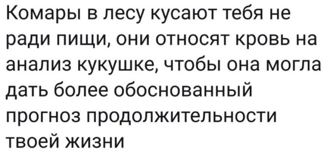 Подборка новых прикольных картинок  смешные картинки