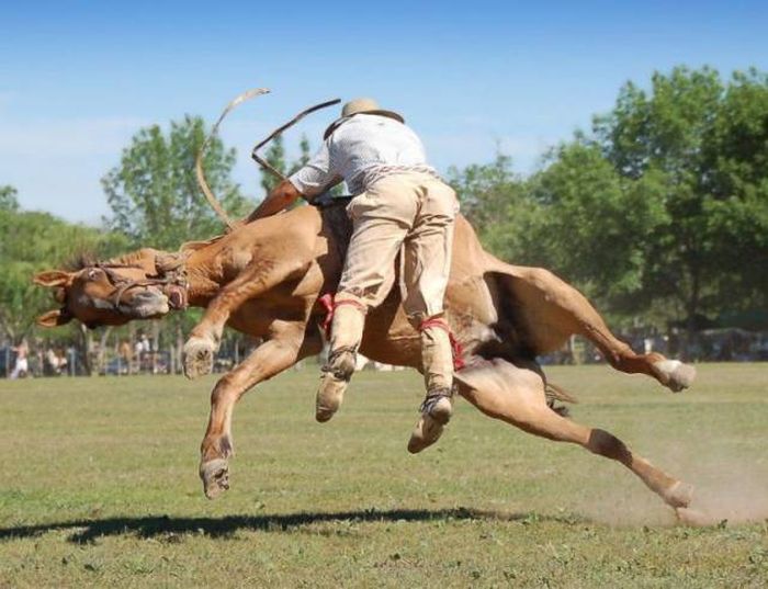 Фото с идеальным ракурсом и моментом (53 фото)