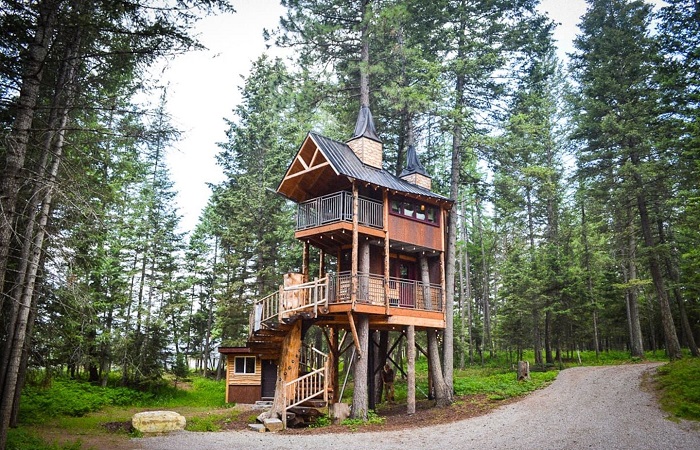 2-этажный домик на дереве в сосновом лесу обеспечит побег от повседневной суеты и стресса