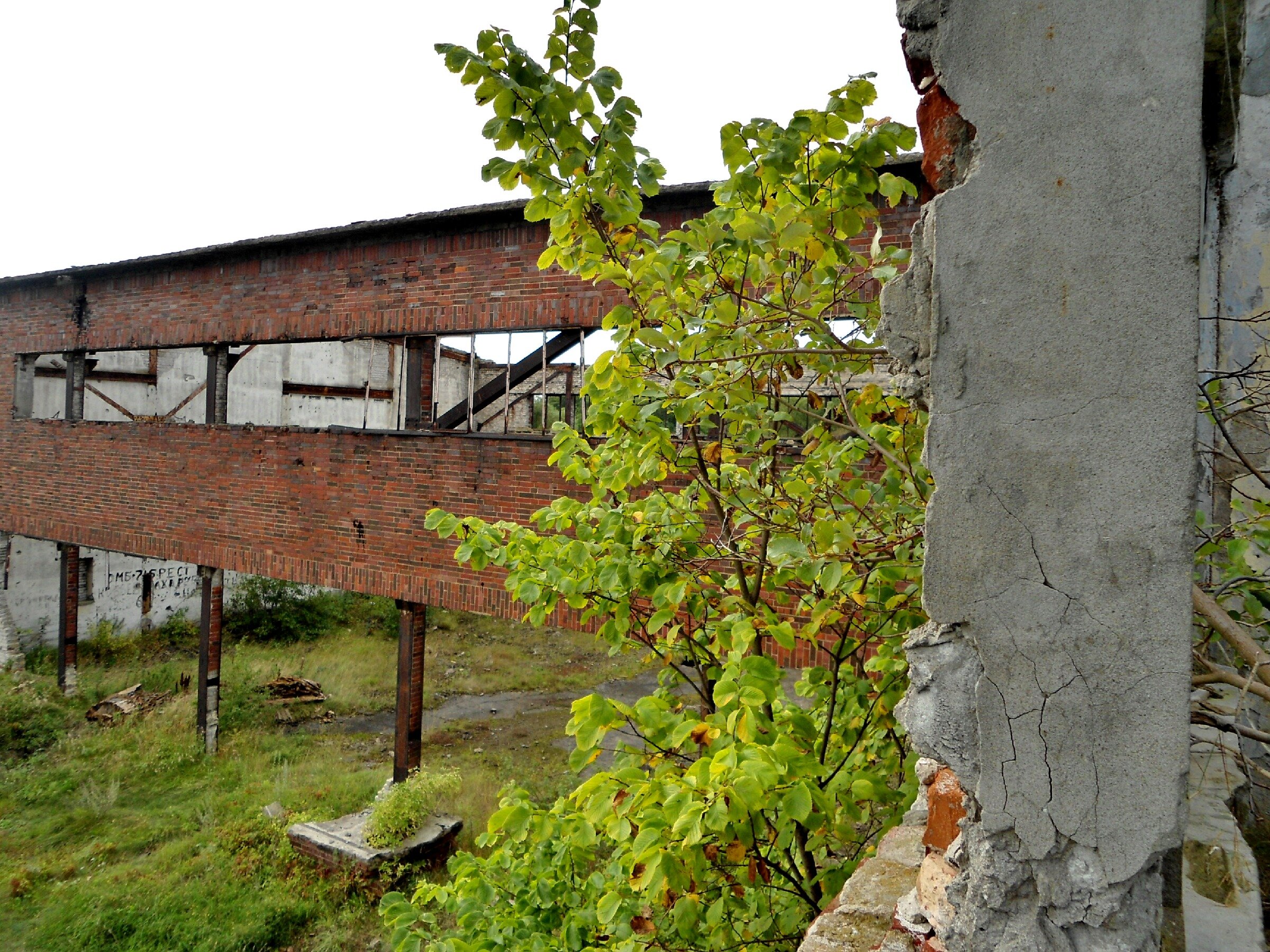 Заброшенный немецкий аэродром Люфтваффе Нойтиф. Начало. Заброшенный немецкий аэродром Люфтваффе Нойтиф. Начало.