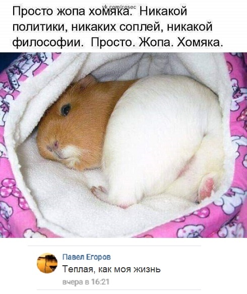 Юмористы-любители, комментирующие все что попадает в поле зрения Юмористы-любители, комментирующие все что попадает в поле зрения