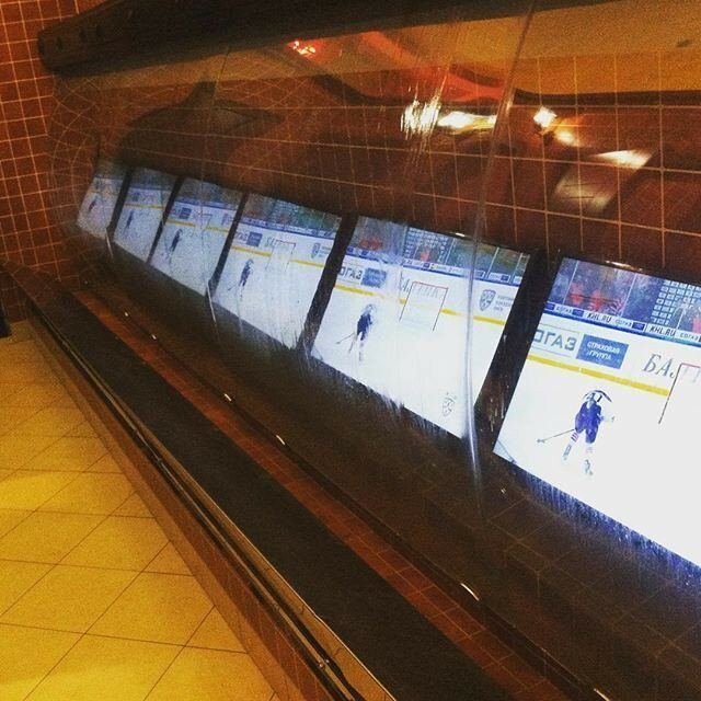 20 прикольных идей, чтобы отказаться от телефона в туалете 