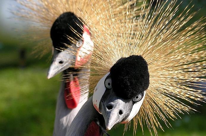 Природа-художник! Природа-художник! природа