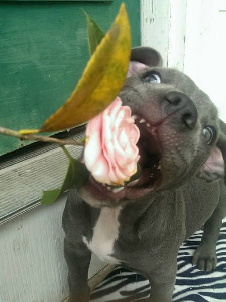 Подборка картинок. Вечерний выпуск (52 фото)