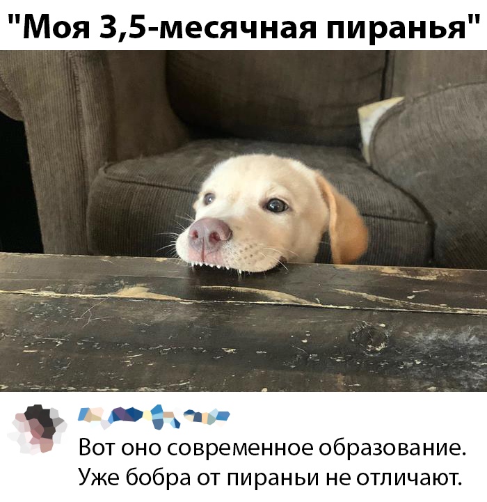 Забавные, зачетные и смешные фото приколы из нашей жизни