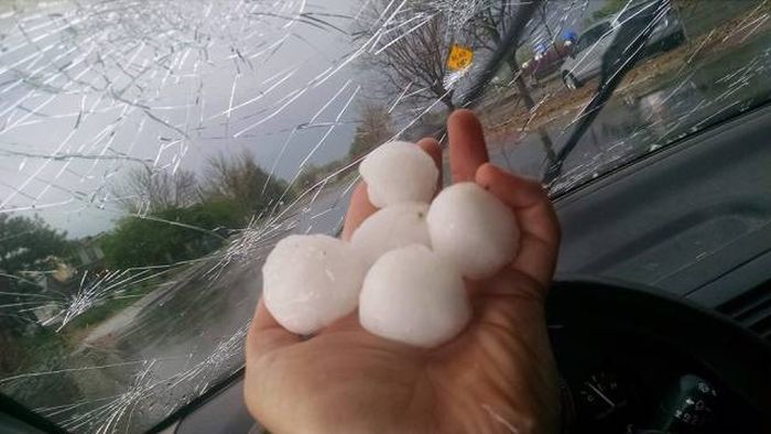 Подборка картинок. Вечерний выпуск (52 фото)