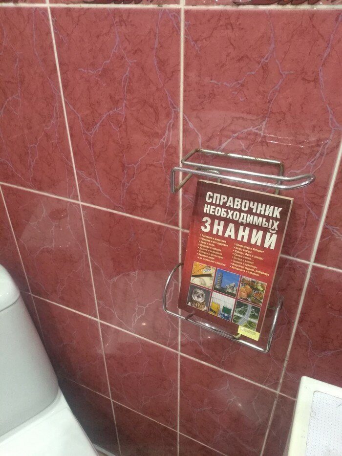 20 прикольных идей, чтобы отказаться от телефона в туалете 