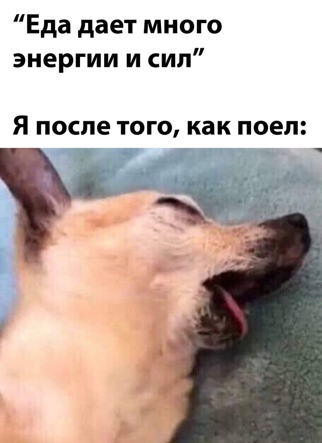 Подборка прикольных картинок  приколы,смешные картинки,юмор