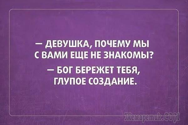 Если у вас есть совесть, значит, наверняка нет денег!