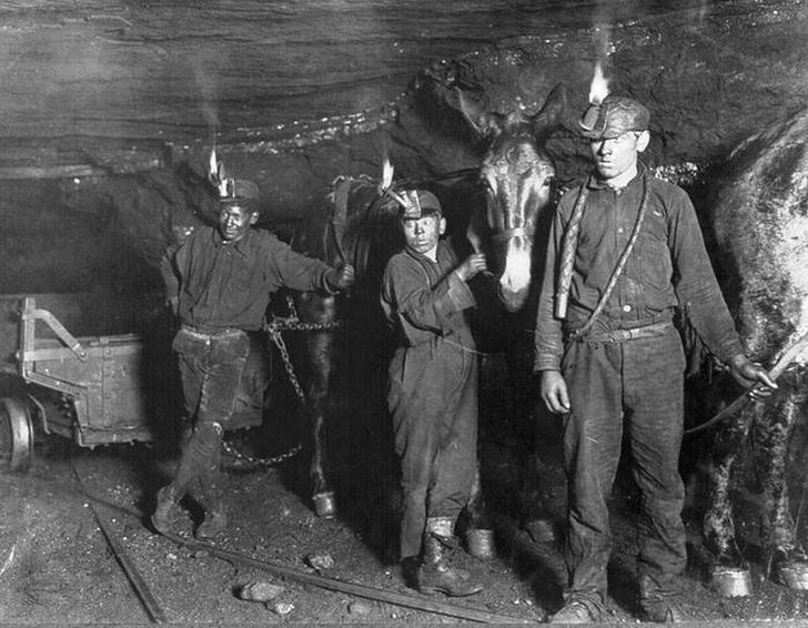 Худшие вакансии, которые предлагали на рынке труда в начале XX века работали, работа, время, чтобы, которые, нанимали, стали, 1900х, канал, компании, должность, работу, железнодорожные, следить, человек, эстроген, лошадей, затем, сторожа, когда