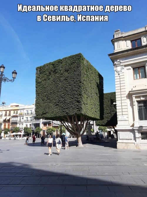 Прикольные картинки, всем добра! Прикольные картинки, всем добра!