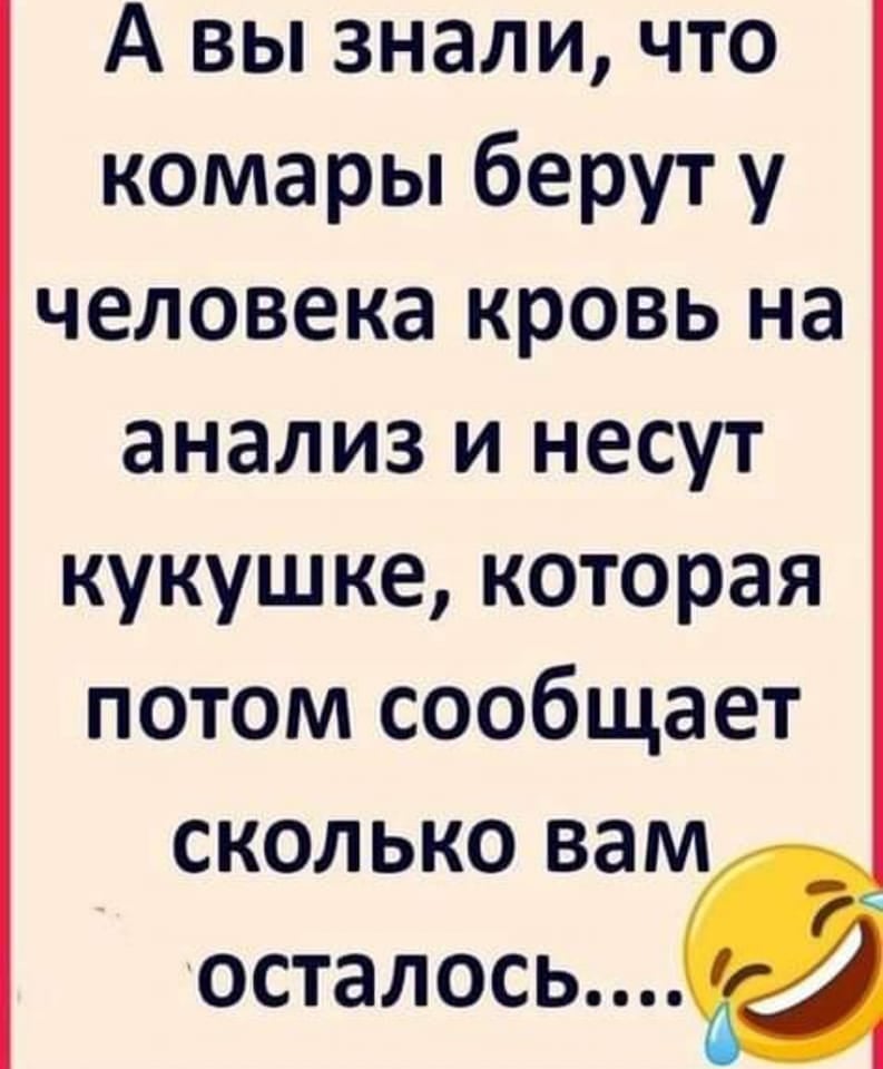 На рынке разодетая с иголочки дама покупает несколько сотен китайских женских трусов... стороны, говорит, несколько, когда, через, хорошо, сказали, глядишь, жизнь, прожить, вместе, захочется, придетсяВ, магазине, Хозяйке, мужиков, чтото, высматривают, потом, подходят